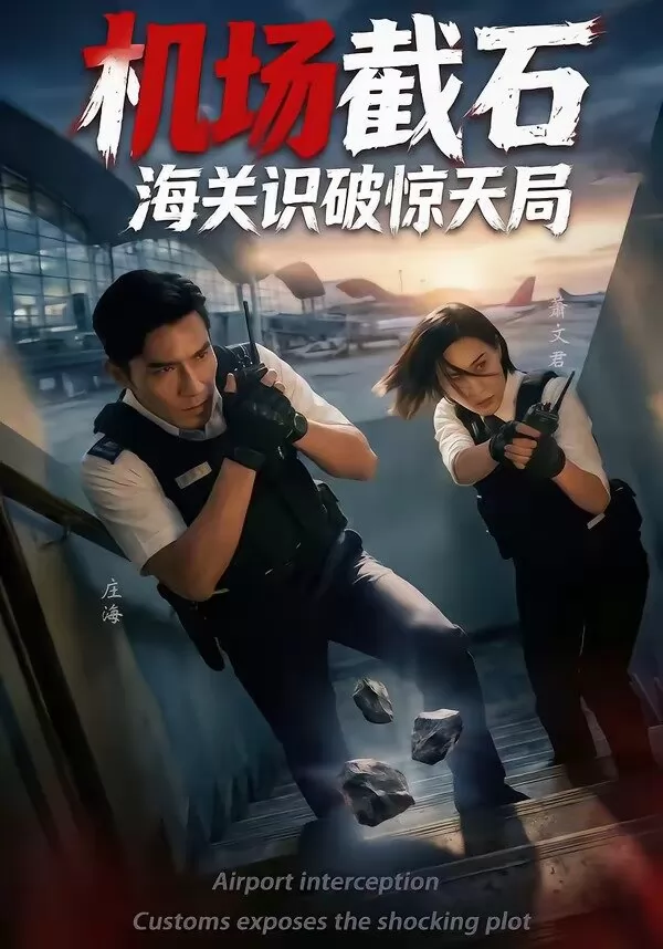 机场截石，海关识破惊天局